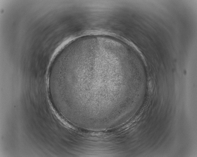 X0000085001416200703191038