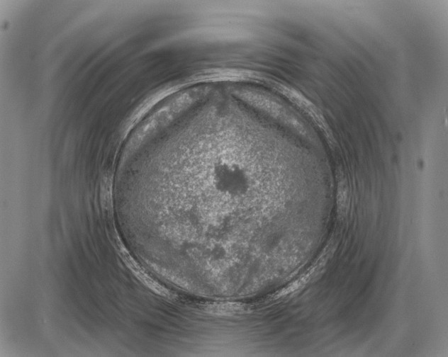 X0000085001417200703191038