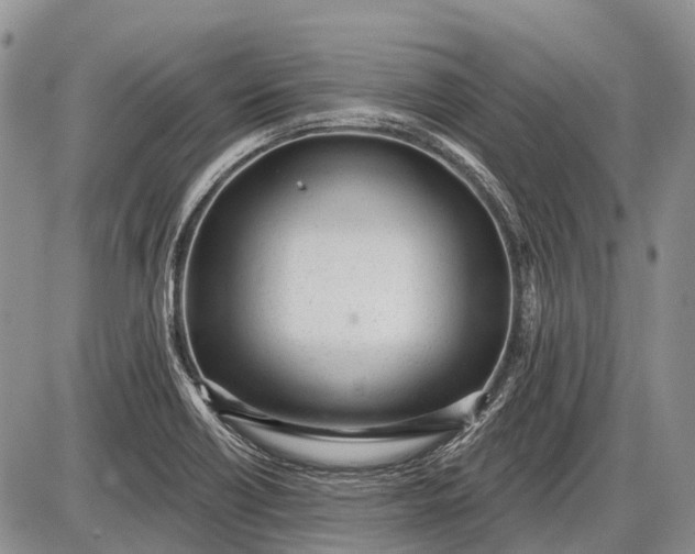 X0000085001418200703191038