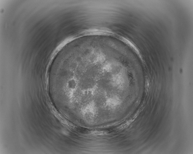 X0000085001419200703191038