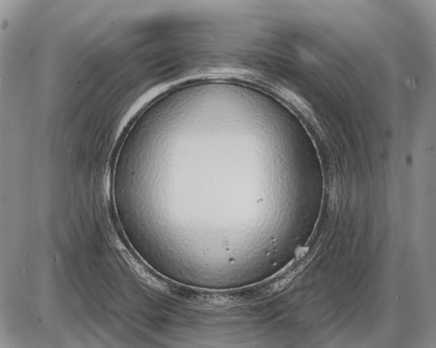 X0000085001420200703191038