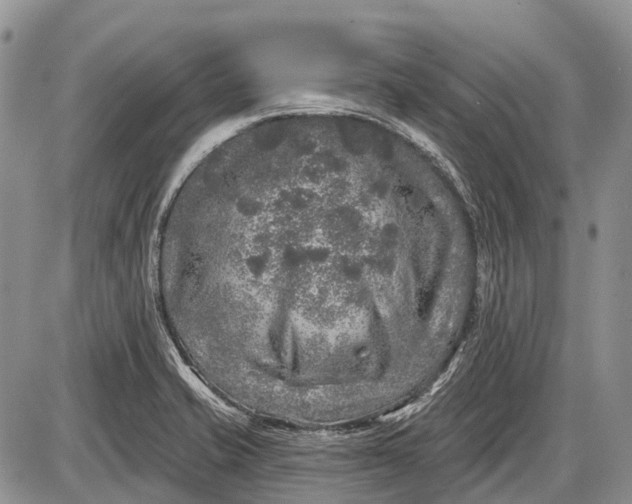 X0000085001421200703191038