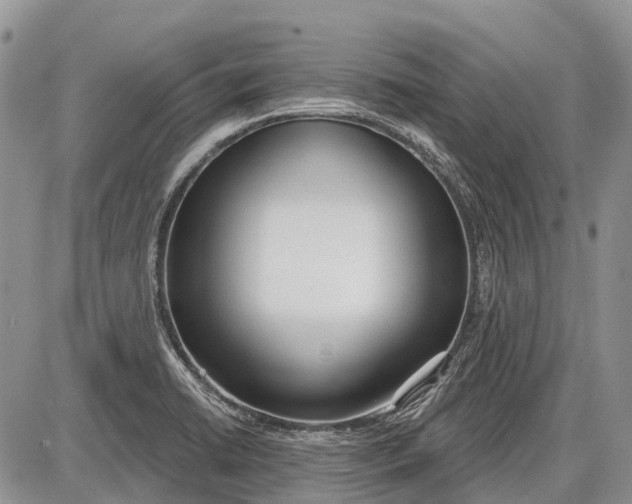 X0000085001422200703191038