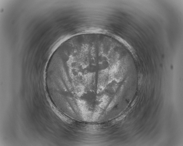 X0000085001423200703191038