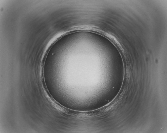 X0000085001424200703191038