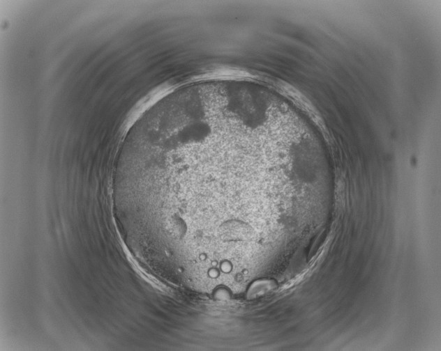 X0000085001425200703191038