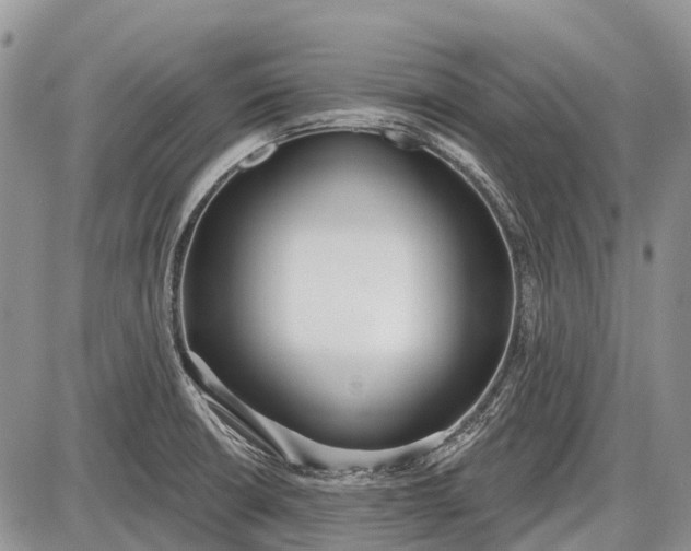 X0000085001426200703191038