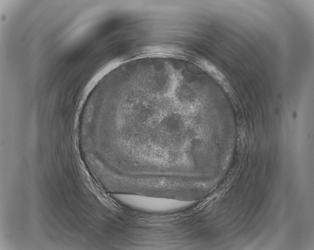 X0000085001427200703191038