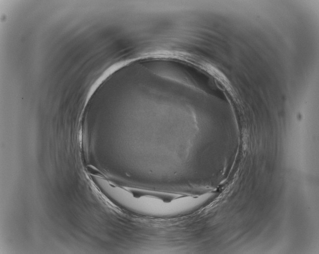 X0000085001428200703191038