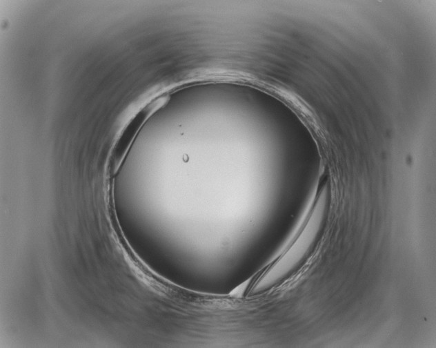 X0000085001430200703191038