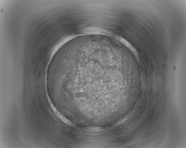 X0000085001431200703191038