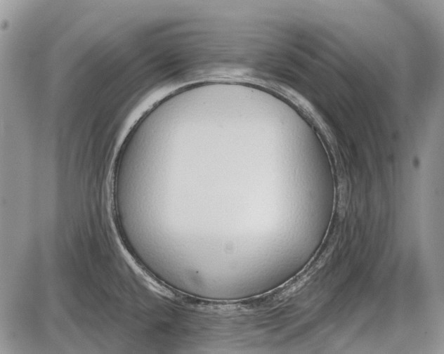 X0000085001432200703191038