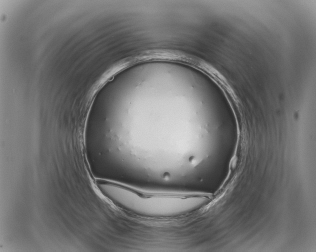 X0000085001433200703191038