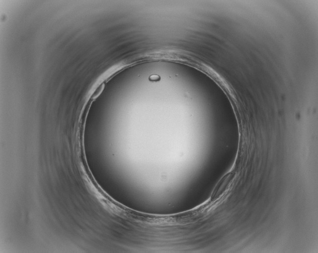 X0000085001434200703191038