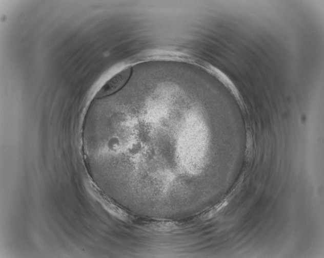 X0000085001435200703191038