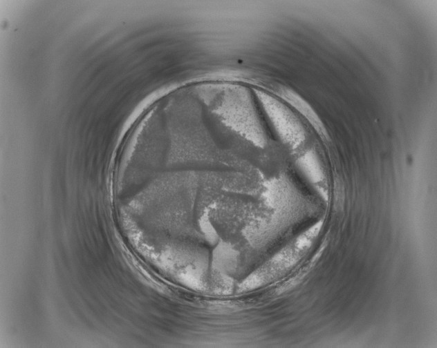 X0000085001436200703191038