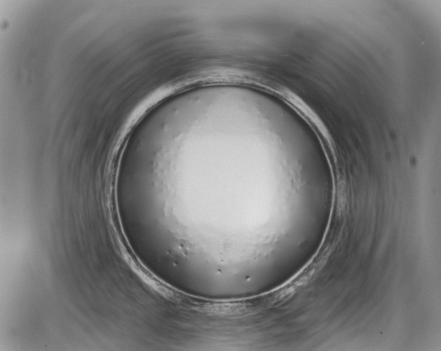 X0000085001437200703191038