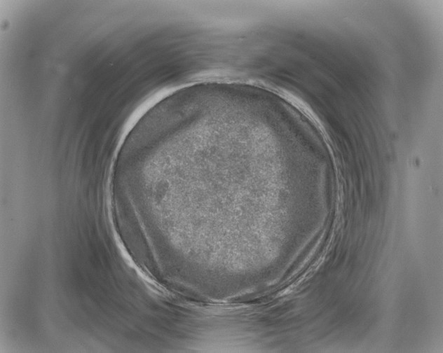 X0000085001440200703191038