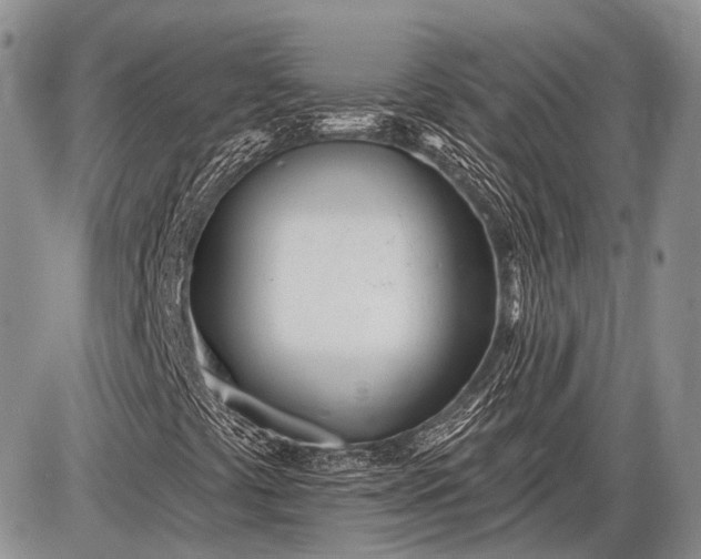 X0000085001441200703191038