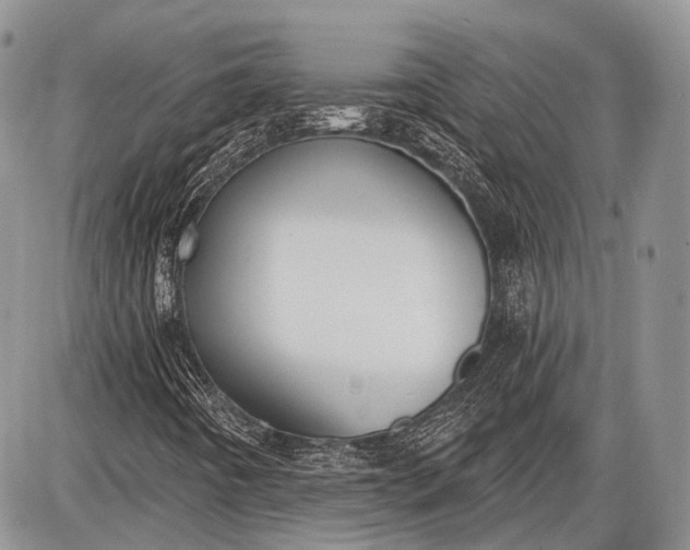 X0000085001442200703191038