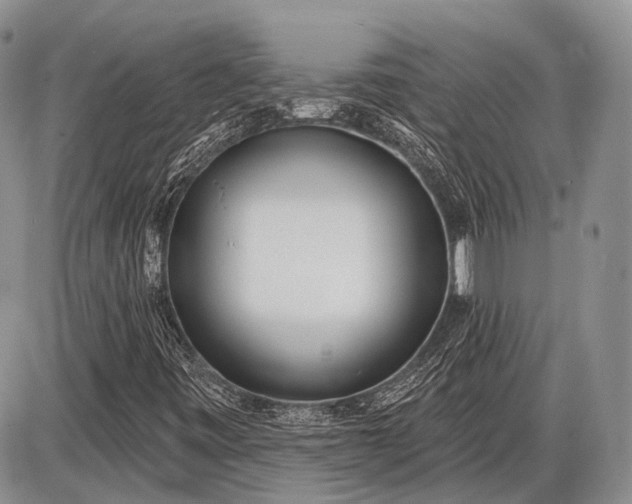 X0000085001443200703191038