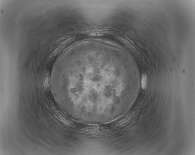 X0000085001444200703191038