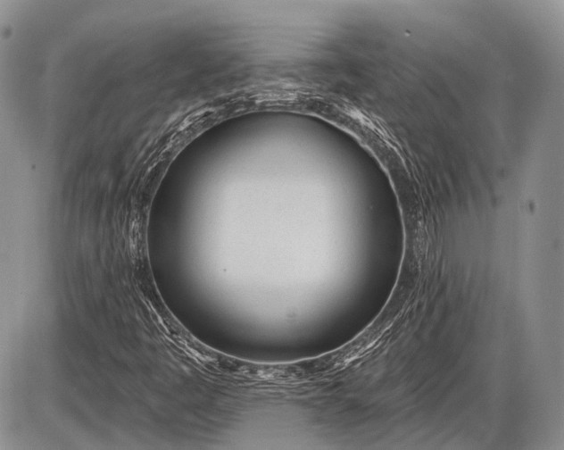 X0000085001445200703191038