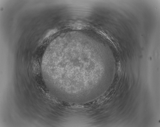 X0000085001446200703191038