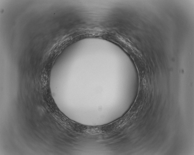 X0000085001447200703191037