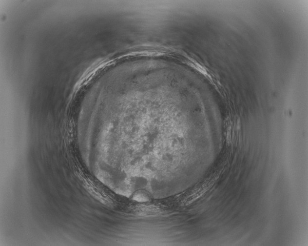 X0000085001448200703191037