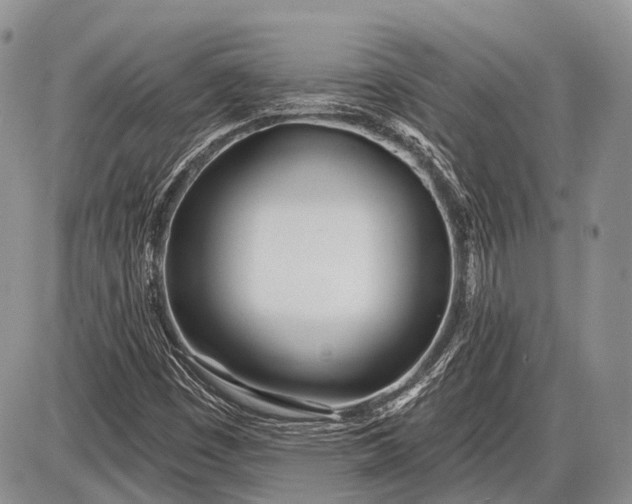 X0000085001449200703191037