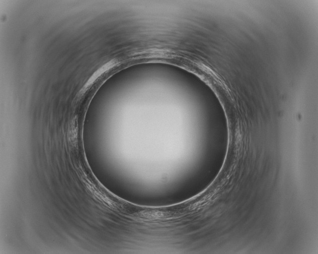 X0000085001450200703191037