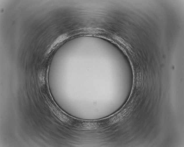 X0000085001451200703191037