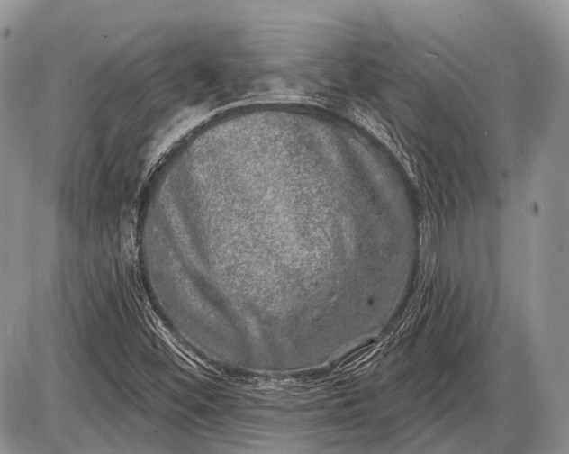 X0000085001452200703191037