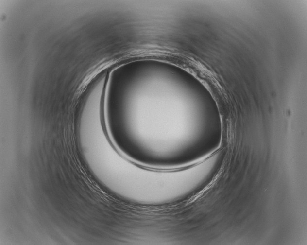 X0000085001453200703191037