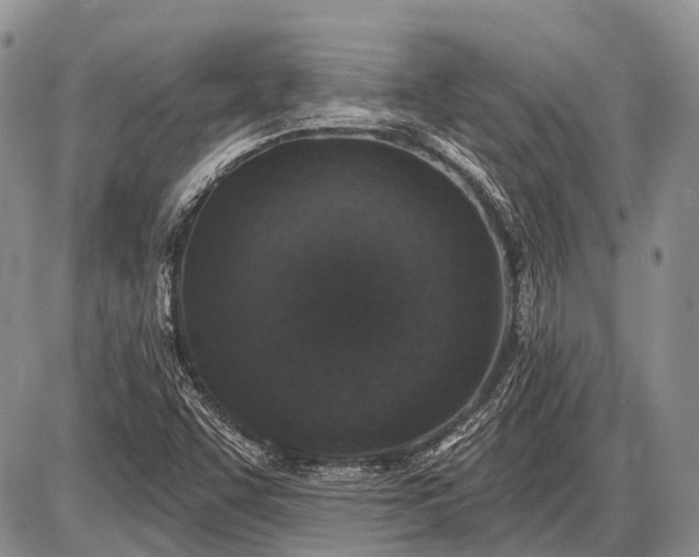 X0000085001455200703191037