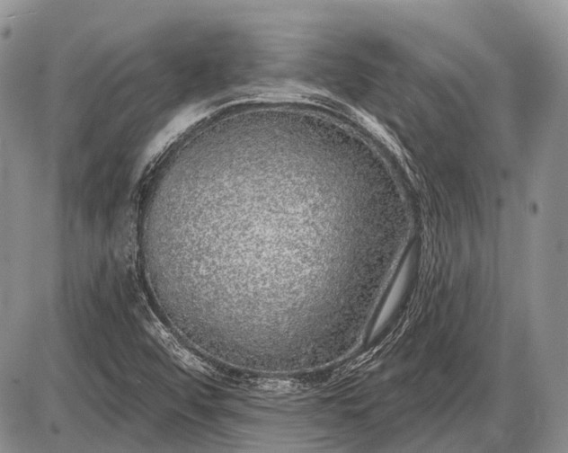 X0000085001456200703191037