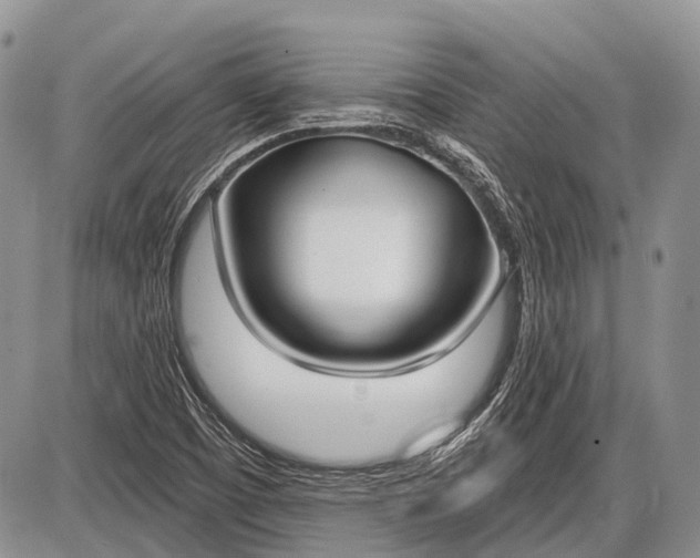 X0000085001457200703191037