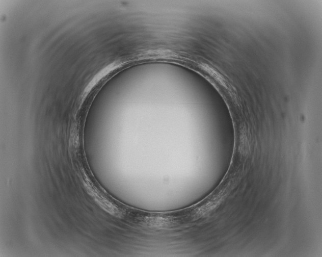 X0000085001458200703191037