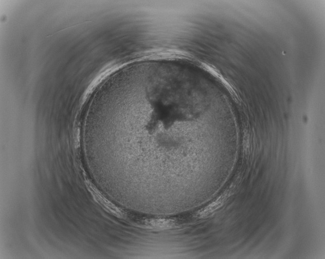 X0000085001459200703191037