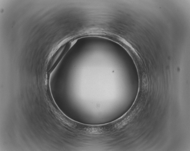 X0000085001461200703191037