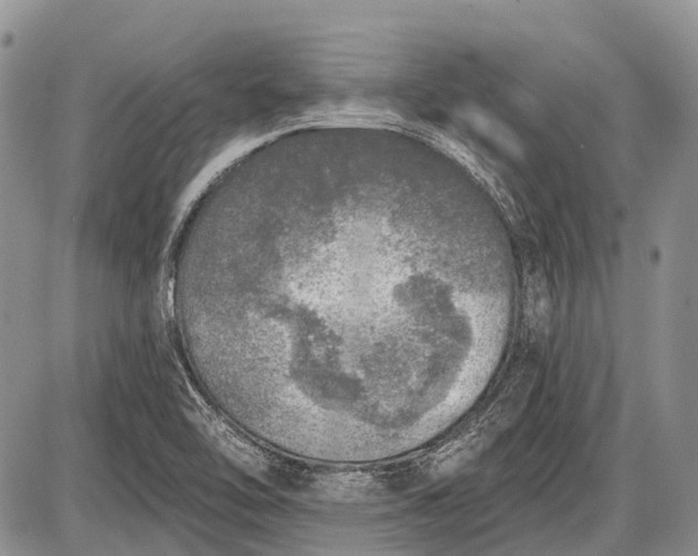 X0000085001462200703191037