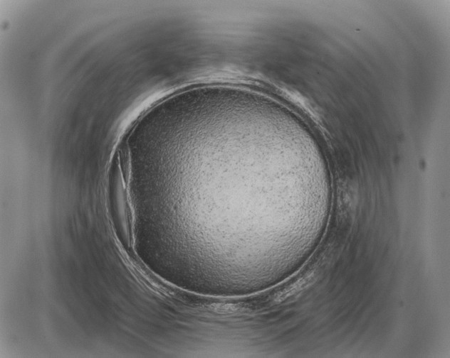 X0000085001463200703191037