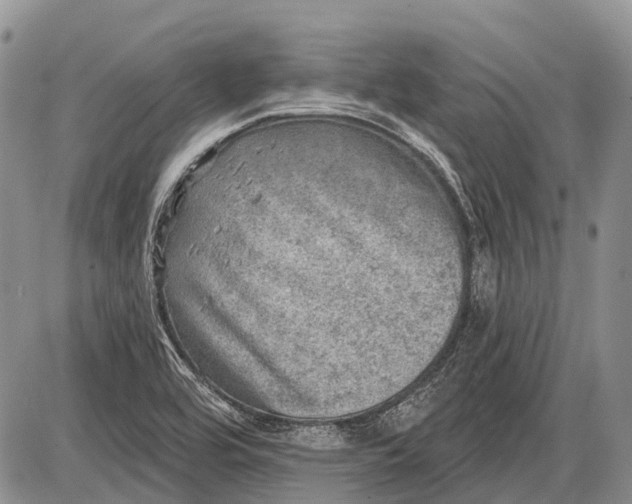 X0000085001464200703191037