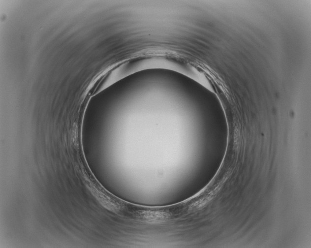 X0000085001465200703191037