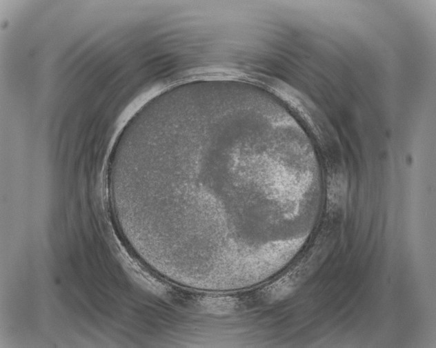 X0000085001466200703191037