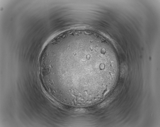 X0000085001467200703191037