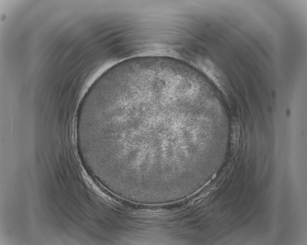 X0000085001468200703191037