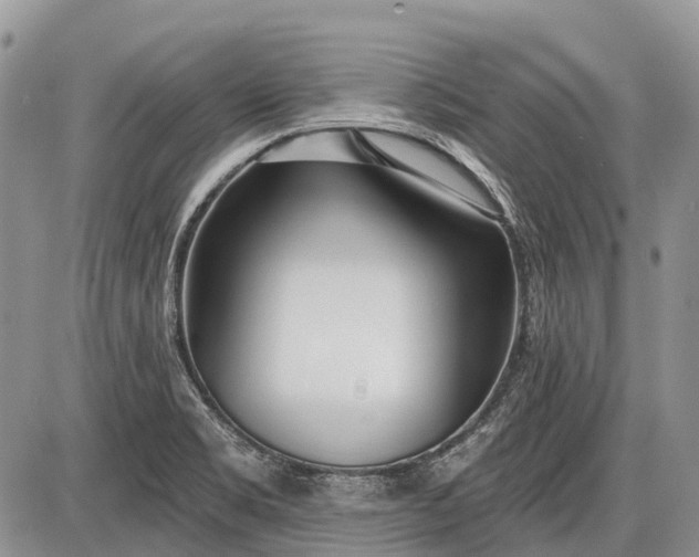 X0000085001469200703191037