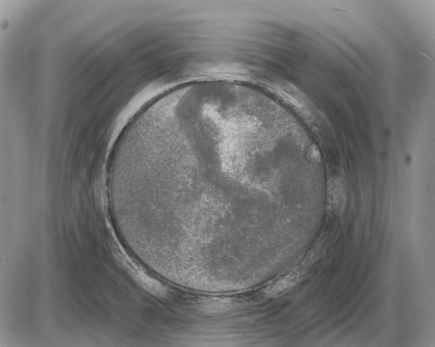 X0000085001470200703191037